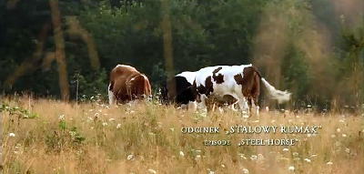 www.opowiescimagurskie.pl/-stalowy-rumak-.html