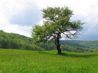 Zaproszenie w Beskid Niski